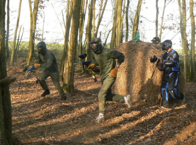  Curso de gotcha Forest 